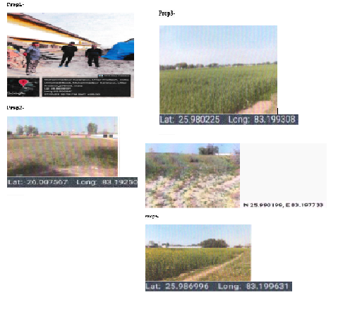 Bharat Layer Farm, Uttar Pradesh